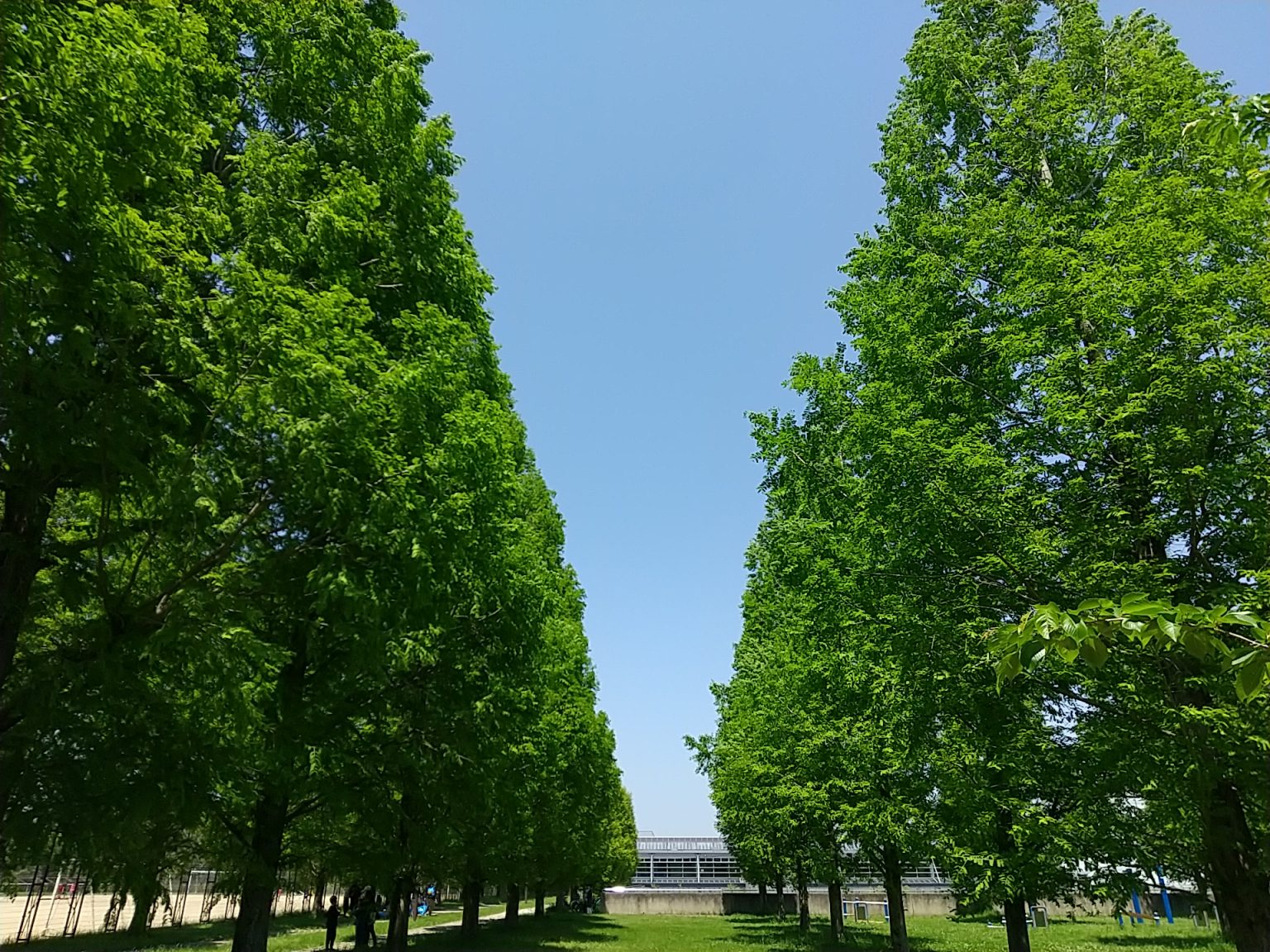 掖谷公園 神戸 まちガイド