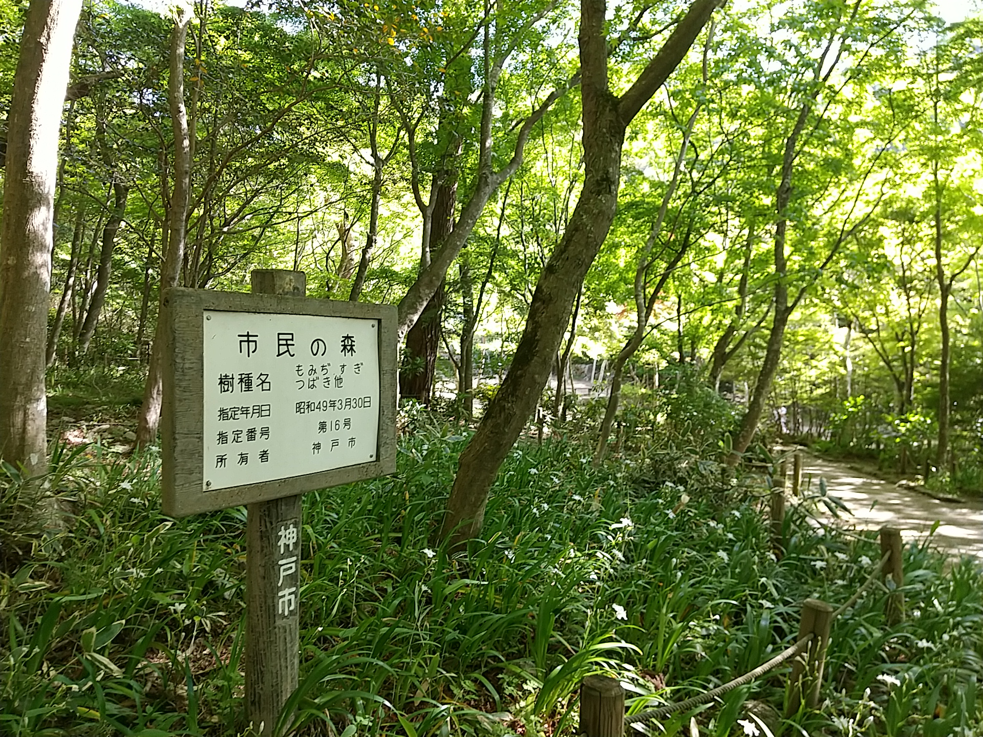 神戸市の「市民の森」に指定された、瑞宝寺公園の市民の森看板