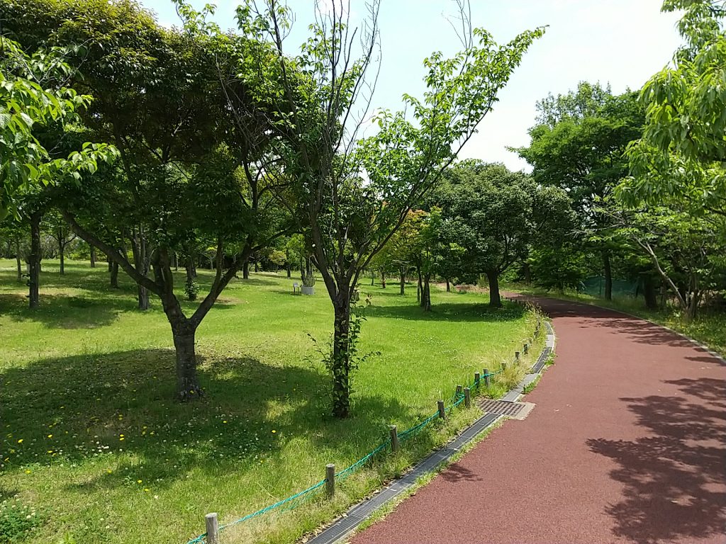垂水健康公園の緑あふれる疎林広場
