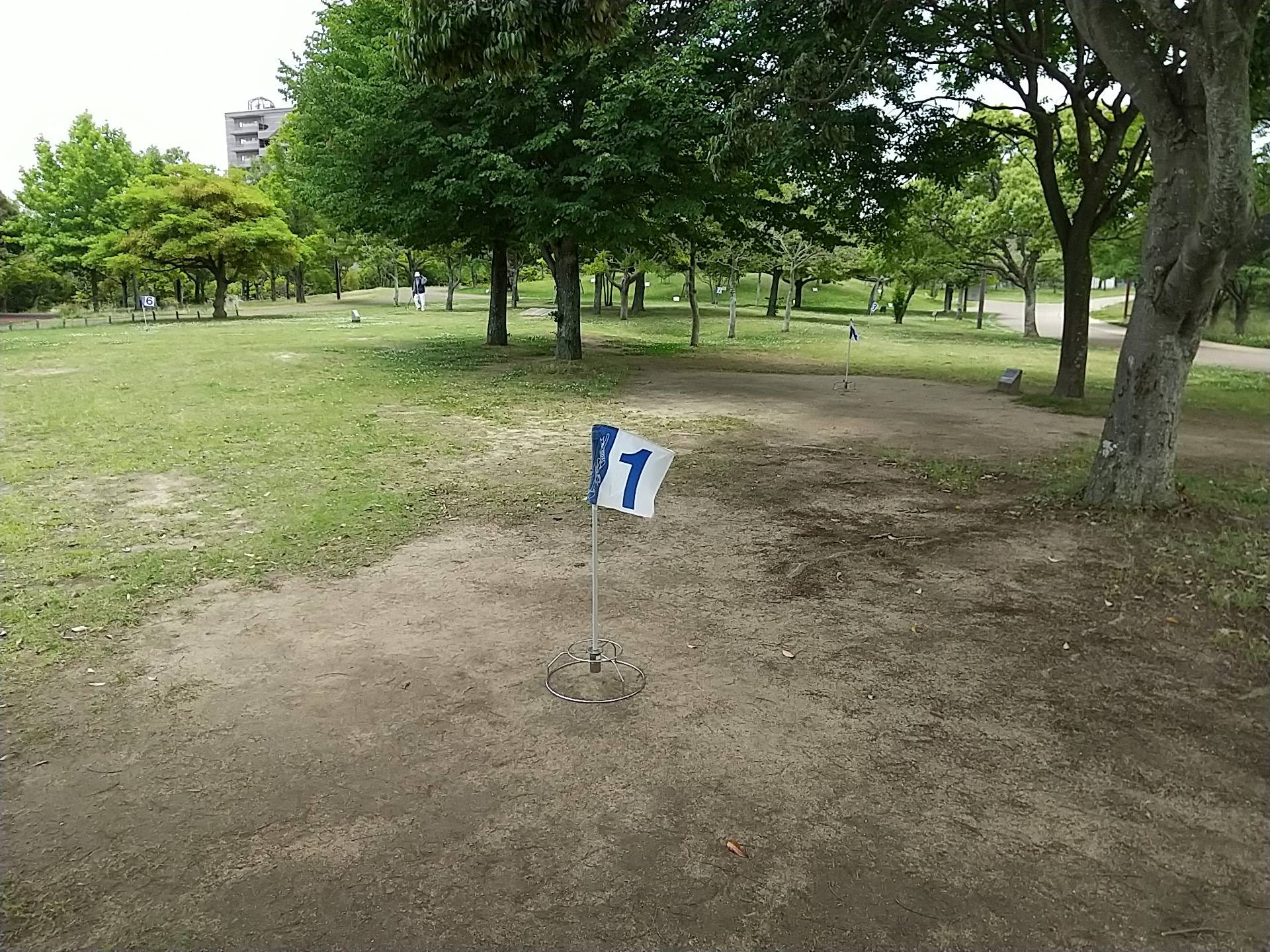 グランドゴルフ場として利用可能な疎林広場