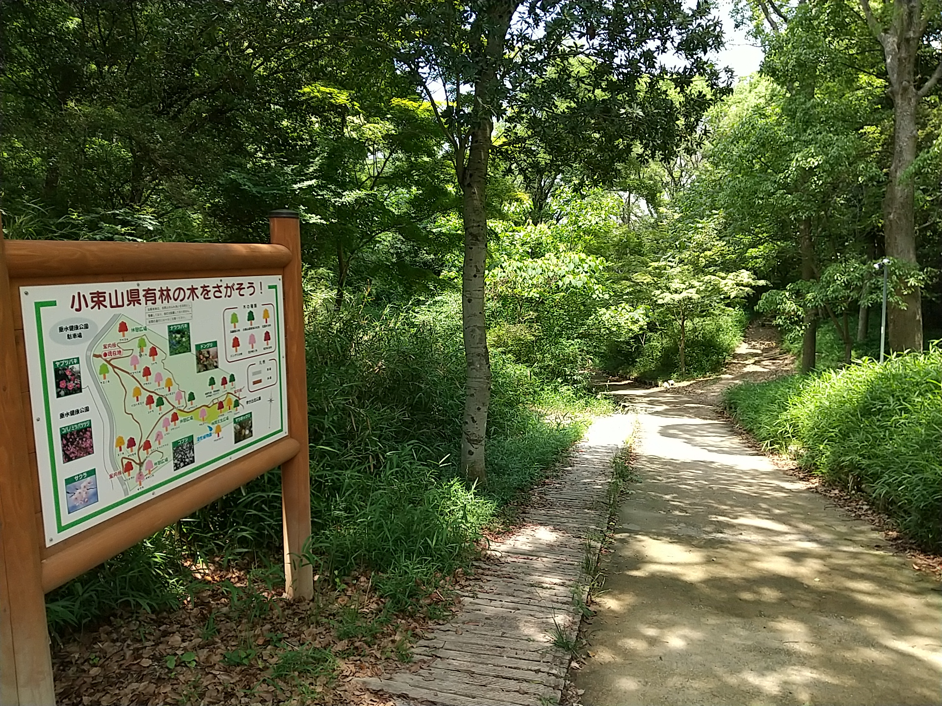 緑あふれる小束山県有林の遊歩道と看板