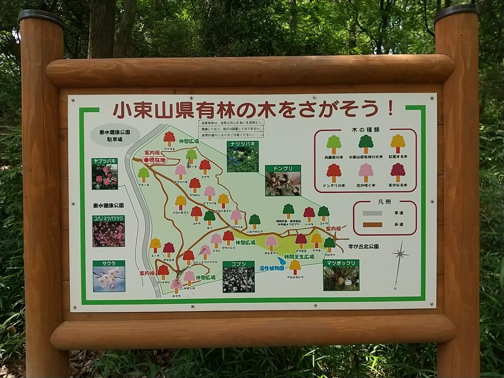 小束山県有林の看板