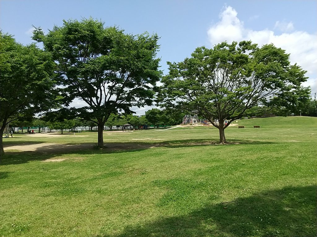 垂水健康公園の広々とした芝生広場