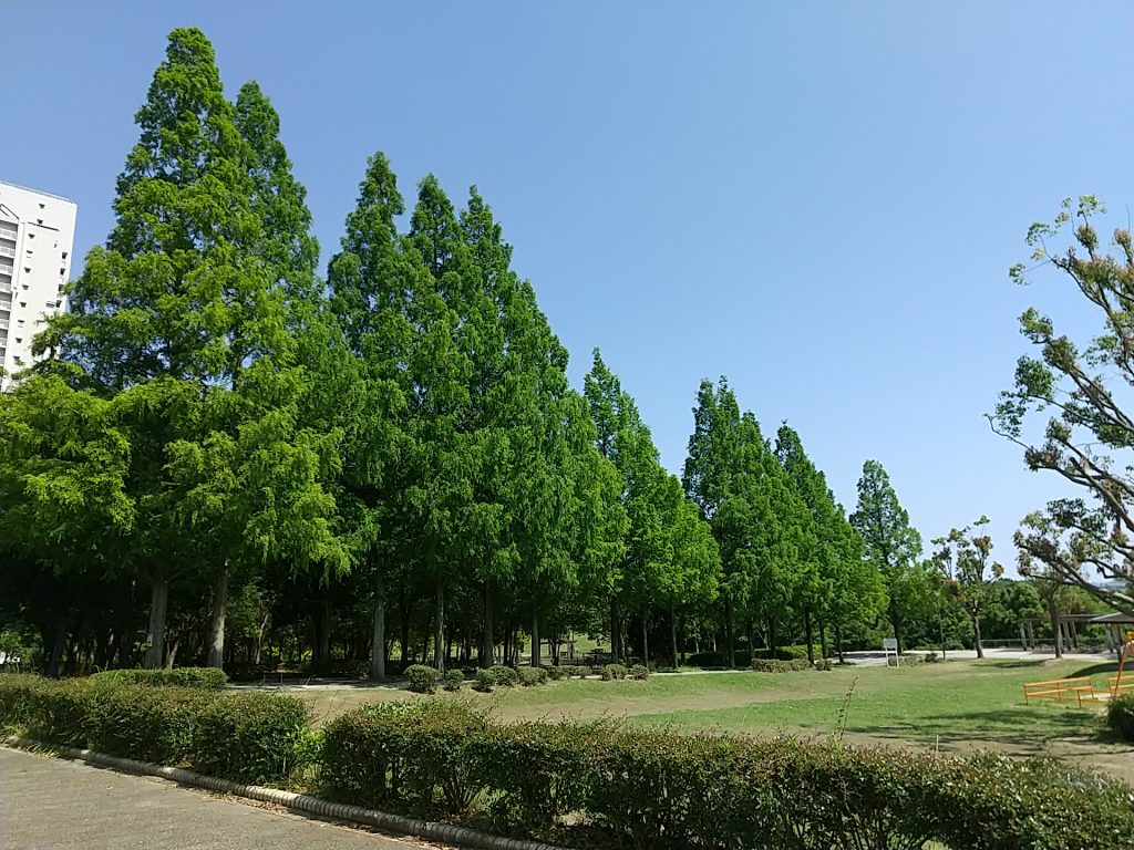 樫野台公園