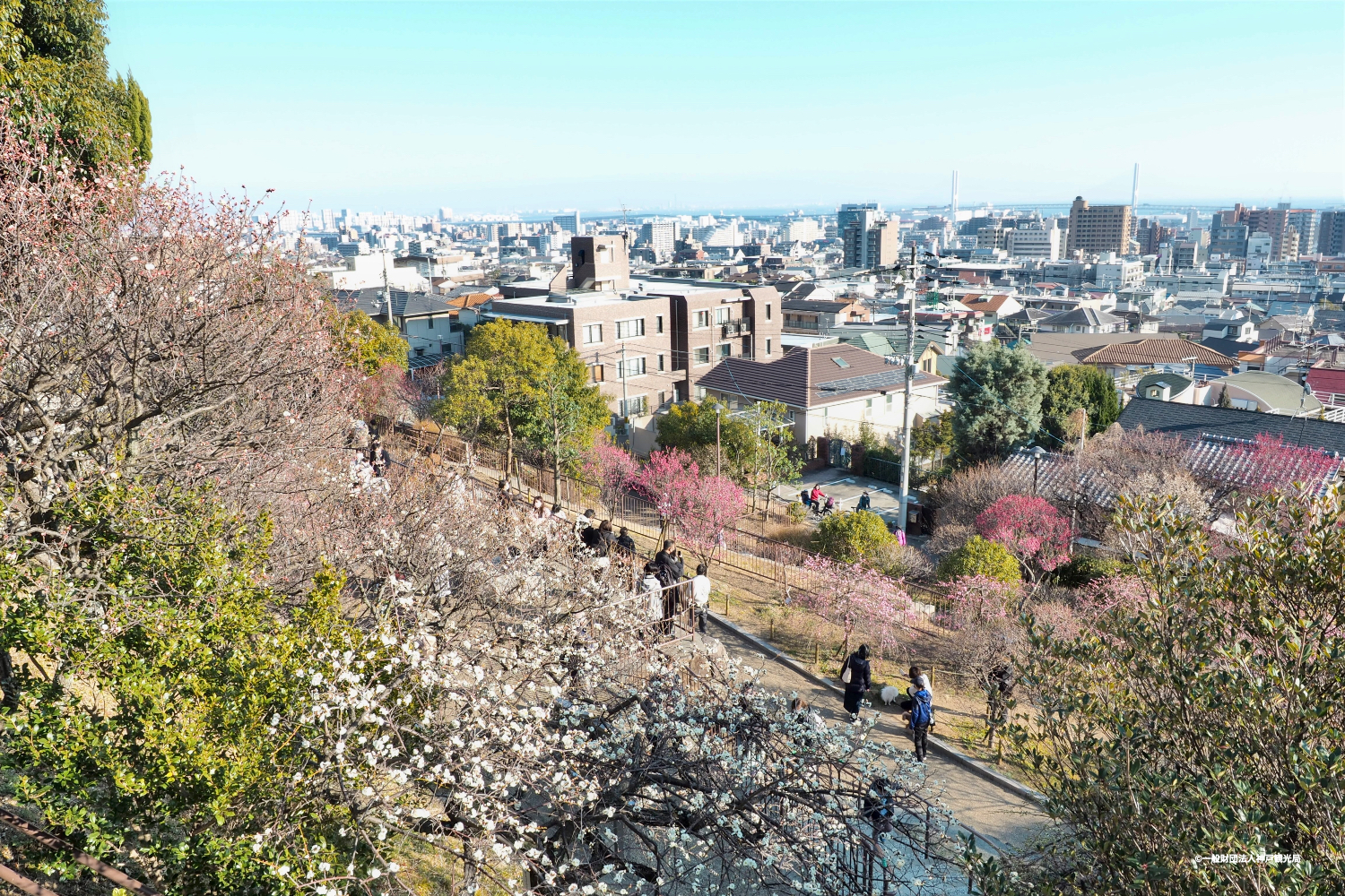 岡本公園(岡本梅林公園)